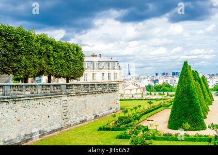 Schöne Reihen von Eibenbäumen im Parc Saint-Cloud, die sich größtenteils in Saint-Cloud, im Hauts-de-seine, in der Nähe von Paris, Frankreich befinden. Stockfoto