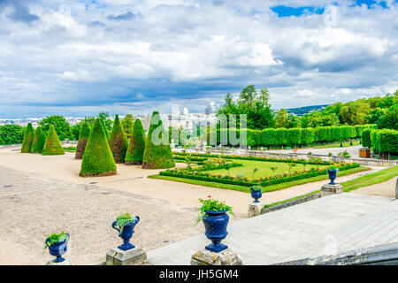 Schöne Reihen von Eibenbäumen im Parc Saint-Cloud, die sich größtenteils in Saint-Cloud, im Hauts-de-seine, in der Nähe von Paris, Frankreich befinden. Stockfoto