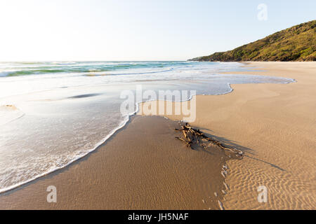 Eine Welle wäscht Treibholz auf eine schöne, abgelegene, unberührte Strand in einem hellen sonnigen Sommermorgen in Australien. Stockfoto