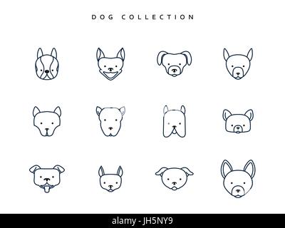 Hunde in linearen Stil festgelegt. 12 Gesicht Rassen Welpen. Vektor-Illustration Stock Vektor