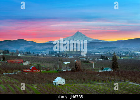 Mount Hood in Hood River Valley Obstgarten Ackerland bei Sonnenuntergang Stockfoto