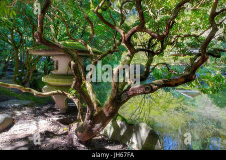 Steinlaterne am oberen Teich bei Portland Japanese Garden Stockfoto