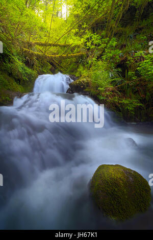 Wasserfall bei Shepperds Dell verliebt sich in Columbia River Gorge Oregon Stockfoto
