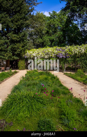 Outdoor-Weinprobe, Garten, die Hess Collection Winery, Napa, Napa Valley, Napa County, Kalifornien Stockfoto