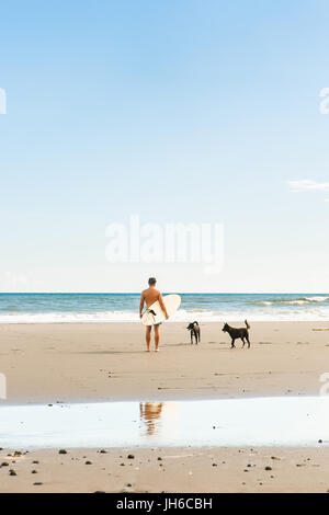 Gut aussehender Mann mit langen Surf Board warten auf Surfspot am Meer Ozeanstrand Surfen stehen. Zwei Hunde laufen in der Nähe. Weiße leere Surfbrett. Begriff der macht, Stockfoto