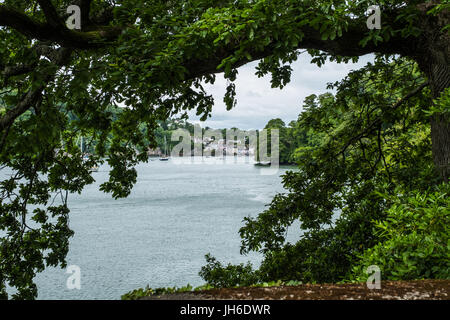 Ein Blick flussaufwärts auf dem Fluss Dart, Dittisham. Stockfoto