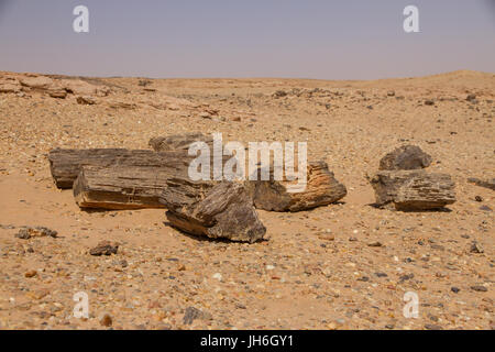 Versteinertes Holz in der Nähe von El Kurru, Nord-Sudan Stockfoto