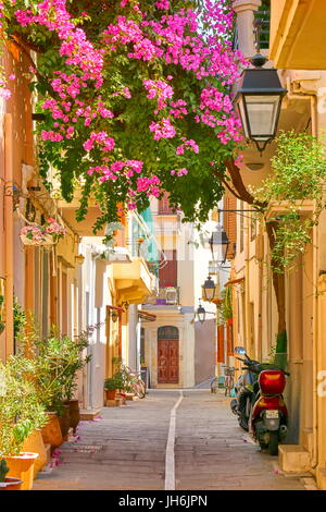 Blühende Blumen Dekoration. Rethymno Altstadt, Insel Kreta, Griechenland Stockfoto