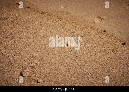 Fußabdrücke auf Strand, diagonal von unten links nach oben rechts Stockfoto