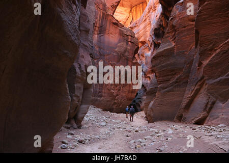 Buckskin Gulch Korridor Stockfoto