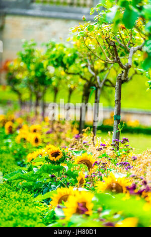 Die gepflegten Gärten des Parc de Saint-Cloud Stockfoto