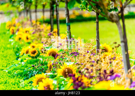 Die gepflegten Gärten des Parc de Saint-Cloud Stockfoto