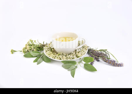 Frisch zubereiteten Tee mit aromatischen Lavendel in weißem Porzellan Teetasse mit frischem Salbei, Lavendel und Blumen geschmückt. Stockfoto