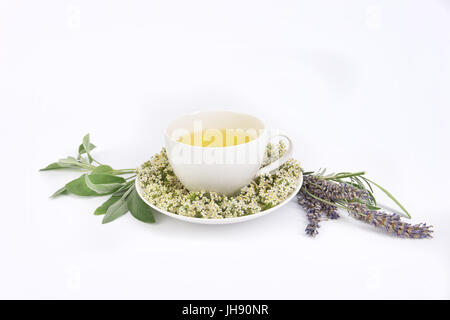 Frisch zubereiteten Tee mit aromatischen Lavendel in weißem Porzellan Teetasse mit frischem Salbei, Lavendel und Blumen geschmückt. Stockfoto