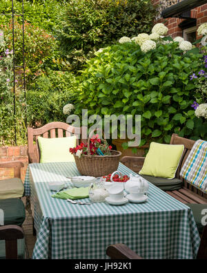 Nachmittagstee auf karierte Tischdecke im Garten Stockfoto