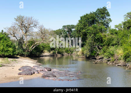 Grumeti Fluss mit überhängenden toten Baum im Wasser, Grumeti Fluss, Serengeti Nationalpark, Tansania. Stockfoto