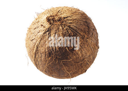 Frische Kokosnuss auf weißem Hintergrund isoliert. Studio-Shooting. Stockfoto