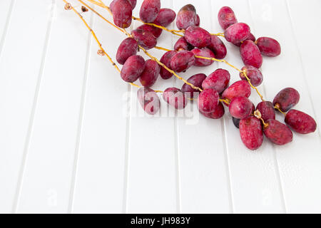 Ein Bündel frische rohe organische Datteln auf einem Ast auf weißem Hintergrund. Stockfoto