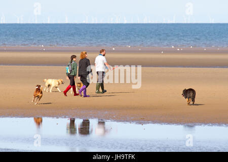 Southport, Merseyside, 13. Juli 2017. Großbritannien Wetter. Ein schönen sonniger Start in den Tag über der Nordwestküste Englands als Hundebesitzer nehmen ihre geliebten Haustiere für einen guten Lauf in der Sonne auf dem goldenen Sand von Southport Strand in Merseyside. Mit Zauber herrlicher Sonnenschein, die voraussichtlich im Laufe des Tages weiter wird ein schöner Tag in dem beliebten Badeort erwartet. Bildnachweis: Cernan Elias/Alamy Live-Nachrichten Stockfoto