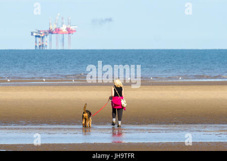 Southport, Merseyside, 13. Juli 2017. Großbritannien Wetter. Ein schönen sonniger Start in den Tag über der Nordwestküste Englands als Hundebesitzer nehmen ihre geliebten Haustiere für einen guten Lauf in der Sonne auf dem goldenen Sand von Southport Strand in Merseyside. Mit Zauber herrlicher Sonnenschein, die voraussichtlich im Laufe des Tages weiter wird ein schöner Tag in dem beliebten Badeort erwartet. Bildnachweis: Cernan Elias/Alamy Live-Nachrichten Stockfoto