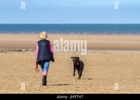 Southport, Merseyside, 13. Juli 2017. Großbritannien Wetter. Ein schönen sonniger Start in den Tag über der Nordwestküste Englands als Hundebesitzer nehmen ihre geliebten Haustiere für einen guten Lauf in der Sonne auf dem goldenen Sand von Southport Strand in Merseyside. Mit Zauber herrlicher Sonnenschein, die voraussichtlich im Laufe des Tages weiter wird ein schöner Tag in dem beliebten Badeort erwartet. Bildnachweis: Cernan Elias/Alamy Live-Nachrichten Stockfoto