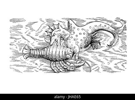 Sea Monster Rhino Wal isst ein Flusskrebs, mittelalterlichen Gravur, Jahr 1598 Stockfoto
