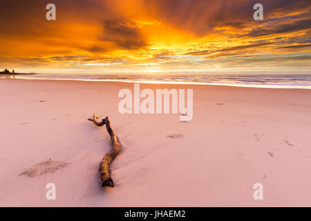 Ein Treibholz-Protokoll liegt am Strand unter einer unglaublich schönen und intensiven goldenen Sonnenaufgang in Australien. Stockfoto