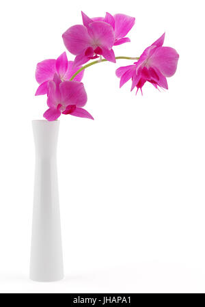 Orchidee blüht in Vase isoliert auf weißem Hintergrund. 3D illustration Stockfoto