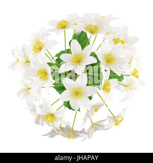 Draufsicht der Blumen in Vase isoliert auf weißem Hintergrund. 3D illustration Stockfoto