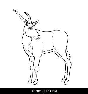 Hand gezeichnete Skizze der Impala Deer Cartoon isoliert, schwarz / weiß-Cartoon-Vektor-Illustration für Coloring Book - Linie gezeichnet Vektor Stock Vektor