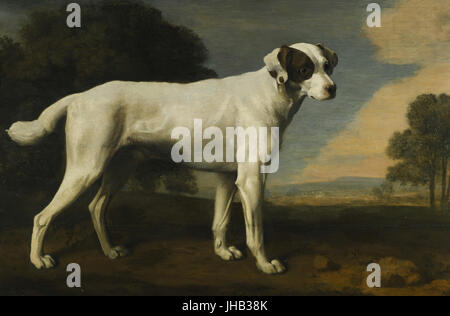 George-Stubbs-Portrait-of-a-white-dog-the-property-of-Lord-Gormanston-oop-fr. Stockfoto