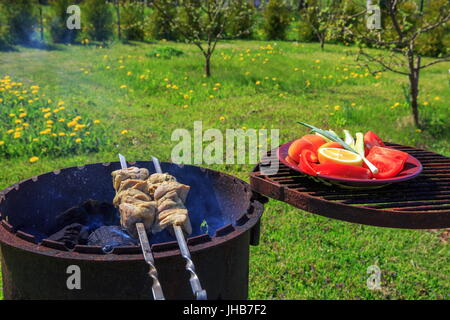 Marinierte Schaschlik vorbereiten auf ein Barbecue-Grill auf Holzkohle. Stockfoto