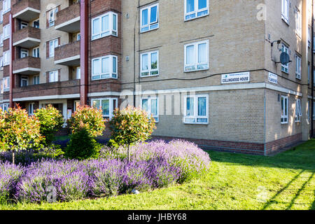 Collingwood House, Darling, Bethnal Green, Tower Hamlets, East London, UK. Sozialer Wohnungsbau uk, Sozialwohnungen im Vereinigten Königreich Stockfoto