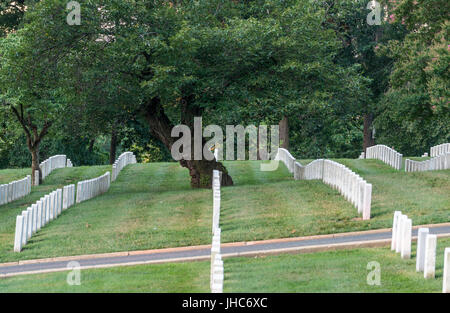 Zeilen der Grabstein Marker in Arlington Cemetery Stockfoto