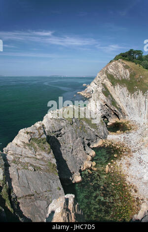 Stair Hole, in der Nähe von Lulworth Cove, Jurassic Coast, Dorset Stockfoto