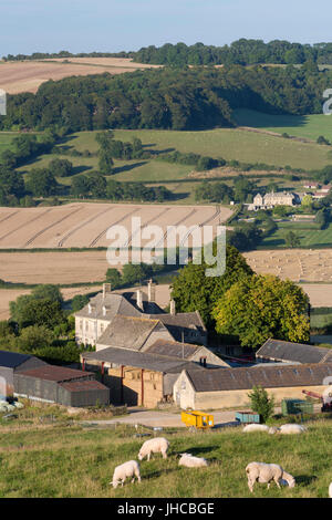 Blick über Wadfield Farm und Cotswold Ackerland im Sommer Winchcombe, Cotswolds, Gloucestershire, England, Vereinigtes Königreich, Europa Stockfoto