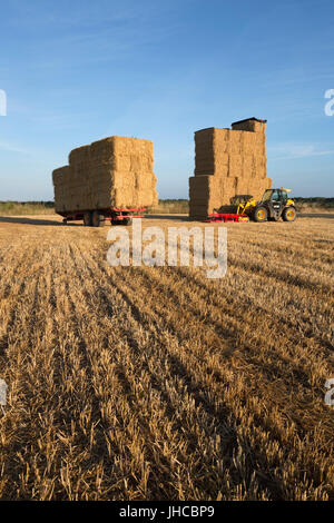 Strohballen Stapeln auf Anhänger im Stoppelfeld, Snowshill, Cotswolds, Gloucestershire, England, Vereinigtes Königreich, Europa Stockfoto