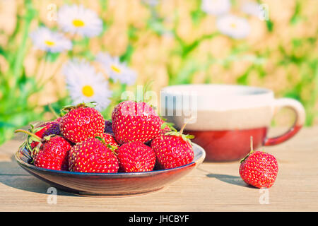 warmen Crossen Bild der rote reife Erdbeeren in Platte auf Holztisch im Garten mit Tee-Tasse und Kamille-Blumen im Hintergrund an sonnigen Sommertagen Stockfoto