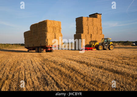 Strohballen Stapeln auf Anhänger im Stoppelfeld, Snowshill, Cotswolds, Gloucestershire, England, Vereinigtes Königreich, Europa Stockfoto