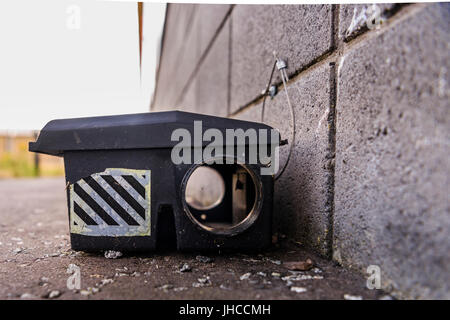 Ratte Köder auf dem Boden außerhalb eines Gebäudes, mit Gift. Stockfoto