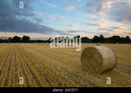 Runde Heuballen im Stoppelfeld im Morgengrauen, in der Nähe von Lechlade, Cotswolds, Gloucestershire, England, Vereinigtes Königreich, Europa Stockfoto