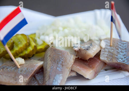 Broodje haring eine traditionelle holländische Snack, Meeresfrüchte Sandwich mit Hering, Zwiebeln und Gewürzgurken. Stockfoto