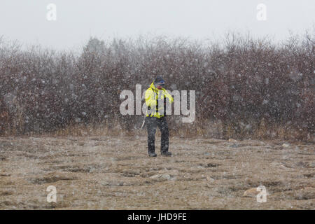 Mann in einem Schneesturm in der Tundra von Manitoba, Kanada. Der Schneefall ist plötzliche und schwere. Stockfoto