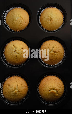 Overhead Schuss von sechs nach Hause gebackene schlicht golden Vanille Cupcakes in Bun Zinn. Stockfoto