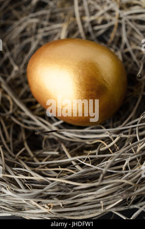 Nahaufnahme von ein einzigen gold bemalten Ei im Nest des Vogels. Stockfoto