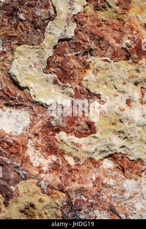 Nahaufnahme von abstrakten Formen eines Felsens füllen der Rahmen. Herbstliche Farbtöne von cremig gelb, Orange und rostig braun. Stockfoto
