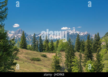 Heimmoseralm, Hinterwildalpen, Wildalpen, Alpen, Steiermark, Österreich Stockfoto