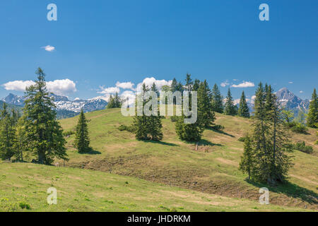 Heimmoseralm, Hinterwildalpen, Wildalpen, Alpen, Steiermark, Österreich Stockfoto