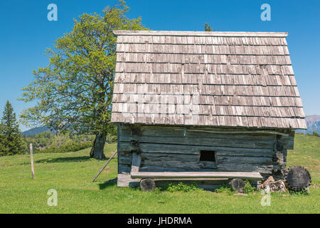 Heimmoseralm, Hinterwildalpen, Wildalpen, Alpen, Steiermark, Österreich Stockfoto