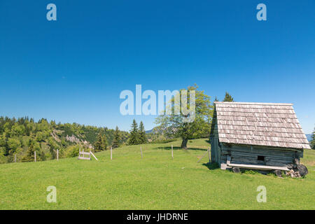 Heimmoseralm, Hinterwildalpen, Wildalpen, Alpen, Steiermark, Österreich Stockfoto